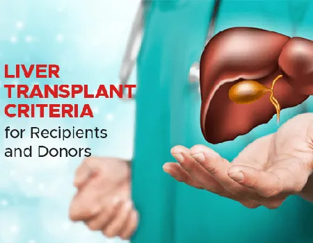 Liver Transplant Donors in India: Availability, Legal Requirements, and Matching Process