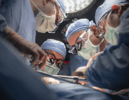 Living Donor and Partial Liver Transplant: Eligibility, Procedure, and Safety Insights