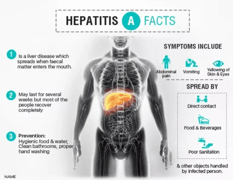 Targeting the Root Cause: The Difference Between Hepatitis A and B and How to Stop Them